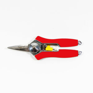 6" Stainless Steel Floral Snips